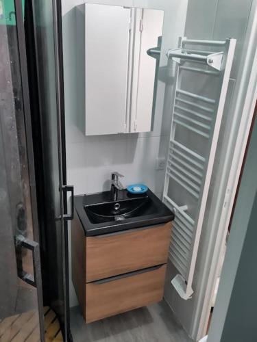 a bathroom with a sink and a mirror at appartement refait à neuf pour 3 personnes avec wi-fi in Vic-sur-Cère