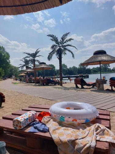 una mesa de picnic en una playa con vistas al agua en Całoroczny Dom na wsi z Sauna I Jacuzzi, en Płużnica