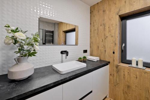 a bathroom with a sink and a mirror at Domek Panorama z Jacuzzi in Ząb