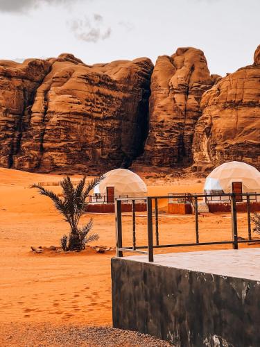 a desert with two tents and a palm tree in front of rocks at Orbit camp in Wadi Rum