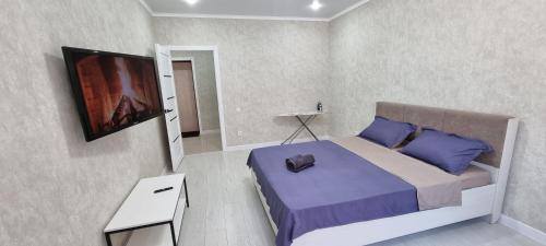 um quarto com uma cama e uma televisão de ecrã plano em Однокомнатная квартира в районе ЖК Аружан em Kokshetau