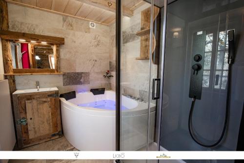 a bathroom with a bath tub and a shower at La VILLA du DORON in Termignon