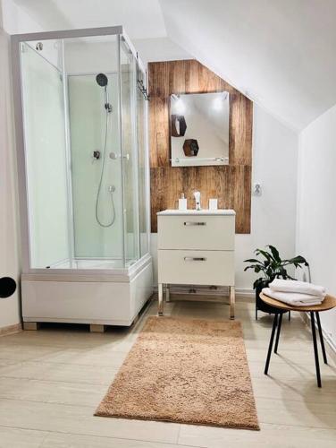a bathroom with a shower and a sink at Hanul Cu Mesteceni in Boşorod