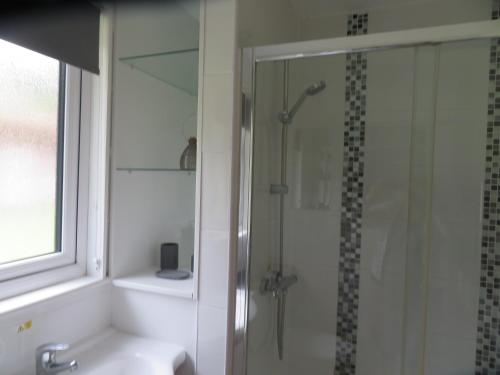 uma casa de banho com um chuveiro e uma porta de vidro em 11 Trevithick Court Tolroy Manor em Hayle