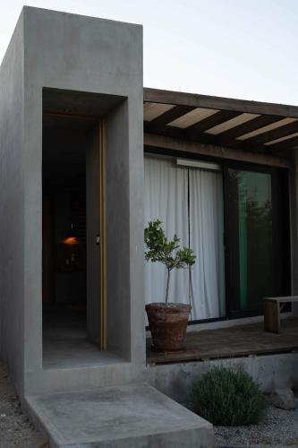 a potted plant sitting on a porch of a house at Casa Michaus Valle de Guadalupe in Valle de Guadalupe