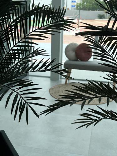 a living room with a couch and a plant at DON LEONE Hotel in Alginet
