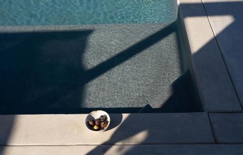 uma tigela de comida sentada ao lado de uma piscina em Casa Michaus Valle de Guadalupe em Valle de Guadalupe