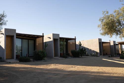 a row of houses in the desert at Casa Michaus Valle de Guadalupe in Valle de Guadalupe