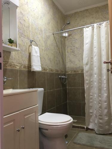 a bathroom with a toilet and a shower at Liquidambar in Federación