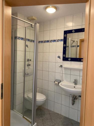 y baño con ducha, aseo y lavamanos. en Landgasthaus zum Hirsch en Ramsen