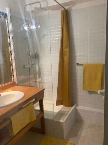 La salle de bains est pourvue d'une douche et d'un lavabo. dans l'établissement APPARTEMENT ARC EN CIEL 3 PIECES AVEC ACCES PISCINE et PLAGE, à Saint-François