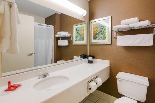 a bathroom with a sink and a toilet and a mirror at SureStay Plus Hotel by Best Western Minot in Minot