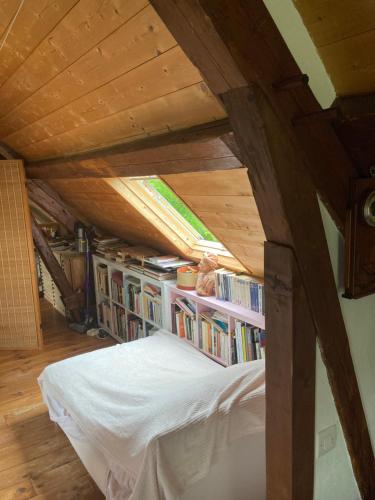 um quarto no sótão com uma cama e livros em Une chambre dans la verdure em Bordeaux-Saint-Clair