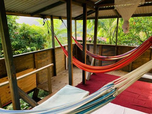 a hammock in a room with a porch at Le Petit Paradis in Roseau