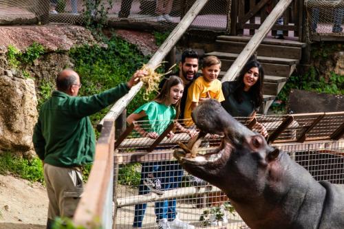 Hotel Selwo Lodge - Animal Park Tickets Included photo 31
