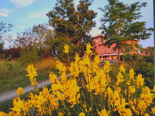 a field of yellow flowers in front of a building at La Fabbrica in collina in Prasco