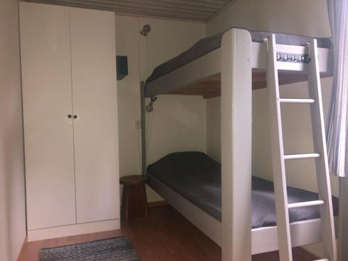Etagenbett in einem Zimmer mit einer Leiter in der Unterkunft Fjällgården Grövelsjön Vandrarhemsrum Långfjället in Idre