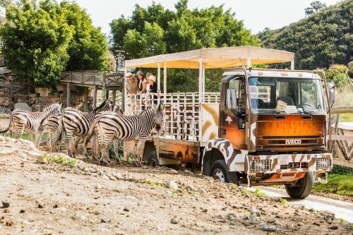 Hotel Selwo Lodge - Animal Park Tickets Included photo 33