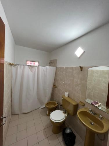 uma casa de banho com um WC, um lavatório e um chuveiro em Apart Hotel Del Sol em Chilecito