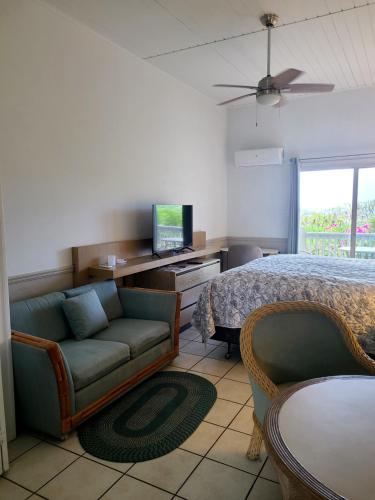 a bedroom with a couch and a bed and a television at Boundless Bliss Hotel in St Thomas