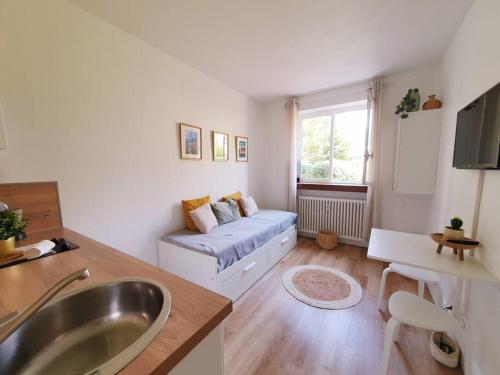 un salon avec un canapé et une fenêtre dans l'établissement Studio 