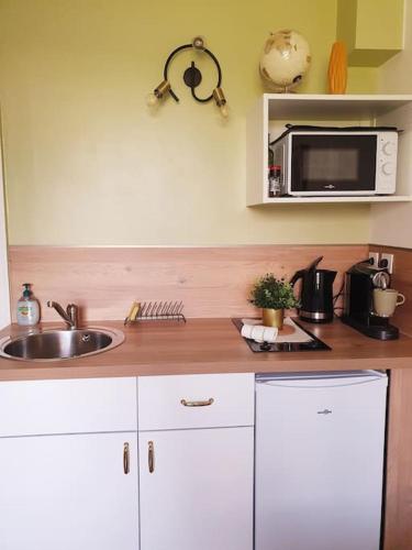 une cuisine avec un évier et un micro-ondes dans l'établissement Studio 
