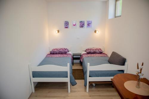a small room with two beds and a chair at Hortensia in Buje