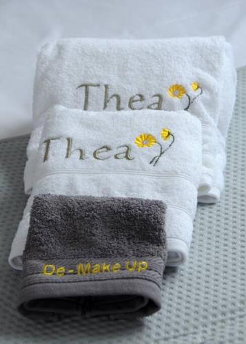THEA cozy apartment