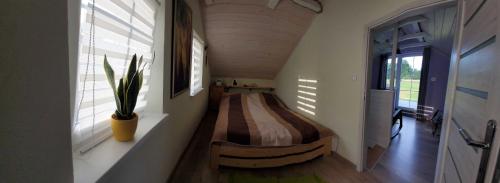 een slaapkamer met een bed in de hoek van een kamer bij Domek Za Płotem in Rebiszów