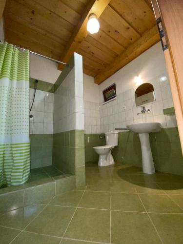 a green and white bathroom with a sink and a toilet at Apartmány Alma in Vyhne