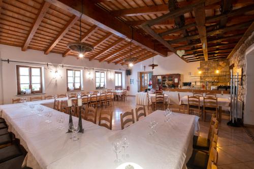 a large room with a long table and chairs at Farm Stay Malovščevo in Vitovlje