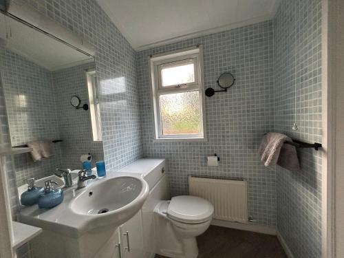 baño con lavabo y aseo y ventana en Woodpecker Lodge en Newquay