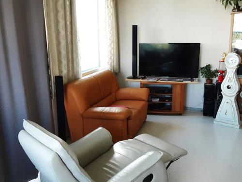 sala de estar con sofá y TV en 60 neliön kaksio 300 m keskustaan en Seinäjoki