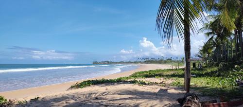 a beach with a palm tree and the ocean at Pousada Recanto dos Corais in Itacimirim