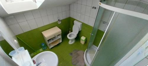 a small bathroom with a toilet and a shower at Karoski Apartments & Suites in Ohrid