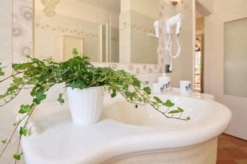 La salle de bains est pourvue d'une plante en pot sur un lavabo. dans l'établissement La Casa di Lisa, à San Vincenzo