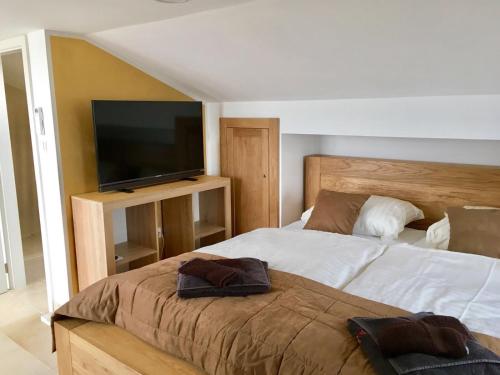 Schlafzimmer mit einem Bett und einem Flachbild-TV in der Unterkunft Villa Sabine Apartment Cres in Medveja