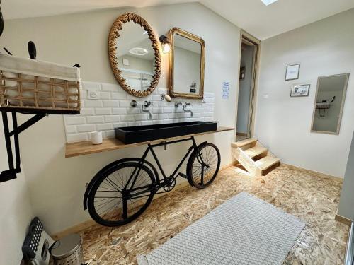 a bathroom with a bicycle under a sink at Domaine de la Source in Sainte-Christie-dʼArmagnac