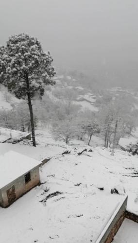 Navid's Holiday Resort and Hotel, Murree v zimě