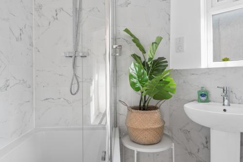 a bathroom with a shower and a potted plant at Brett Stays - Lower King Weston House in Avonmouth