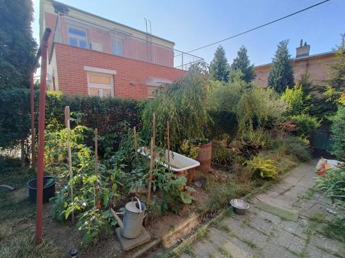 a garden with plants and a bath tub in front of a house at EN Homestay with private top floor, 3 bedrooms, bathroom, kitchenette, host stays downstairs with a cat and 2 small dogs --- CS Soukromé horní patro, 3 ložnice, koupelna, vařič, balkon - Přízemí sdílené s hostitelem, kočkou a 2 malými psy in Zlín