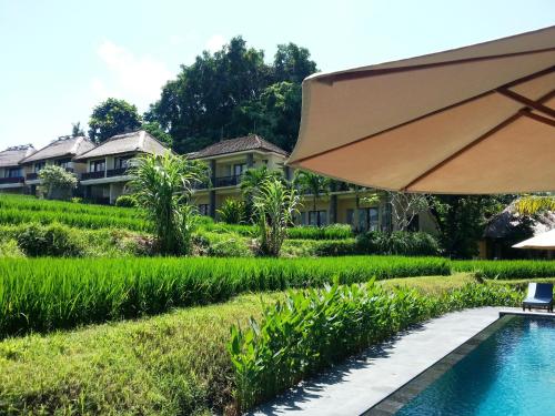 a view of the resort from the pool at Biyukukung Suite & Spa in Ubud