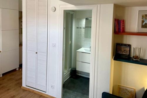 une salle de bain avec une douche, un lavabo et un miroir dans l'établissement Studio à 800m de la Cathédrale, à Reims
