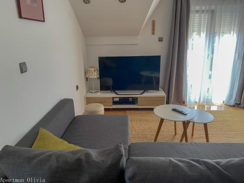 a living room with a couch and a tv at Apartman Olivia in Ludbreg
