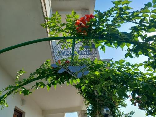 a basket of flowers hanging from a building at Apartments Mira in Lopar