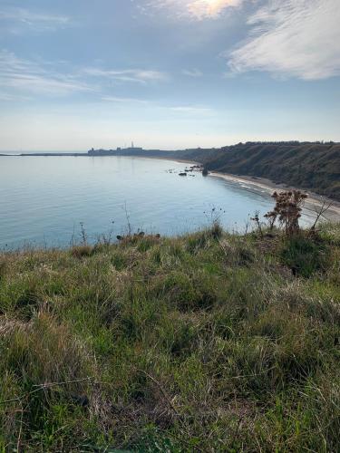 a view of a body of water with a beach at Da Concy in Fossacesia