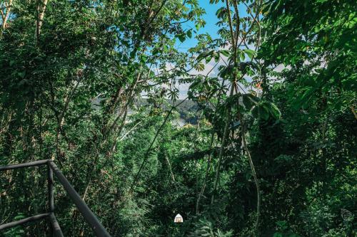 a view of a forest of trees with at GLAMPING SELVA IGUAZU in Puerto Iguazú