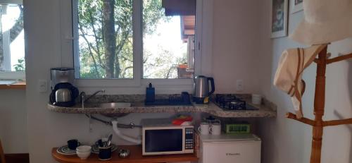 a kitchen with a microwave and a sink and a window at Recanto Ninho das Aguias in Nova Petrópolis