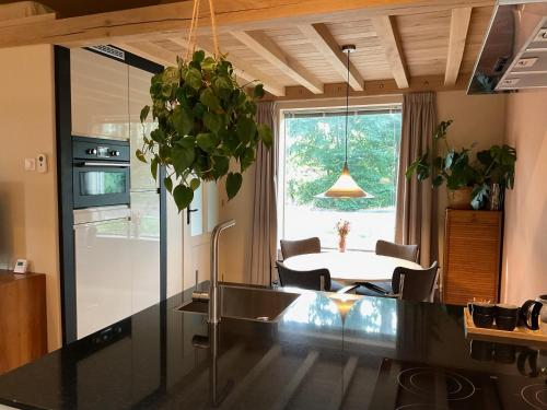 a kitchen with a table with a potted plant at B&B Het Postkantoortje in Gorssel