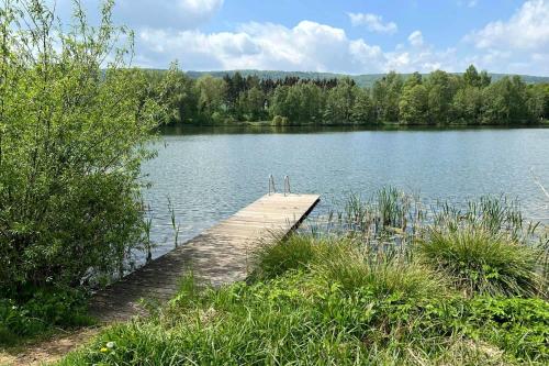 a wooden dock in the middle of a lake at Tiny House Ithblick direkt am See in Salzhemmendorf